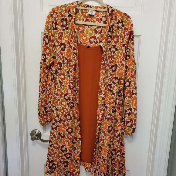 CAbi "Daydream" A-Line Midi Dress Size Medium, Style #4238, Colorful, Autumn - Picture 11 of 14